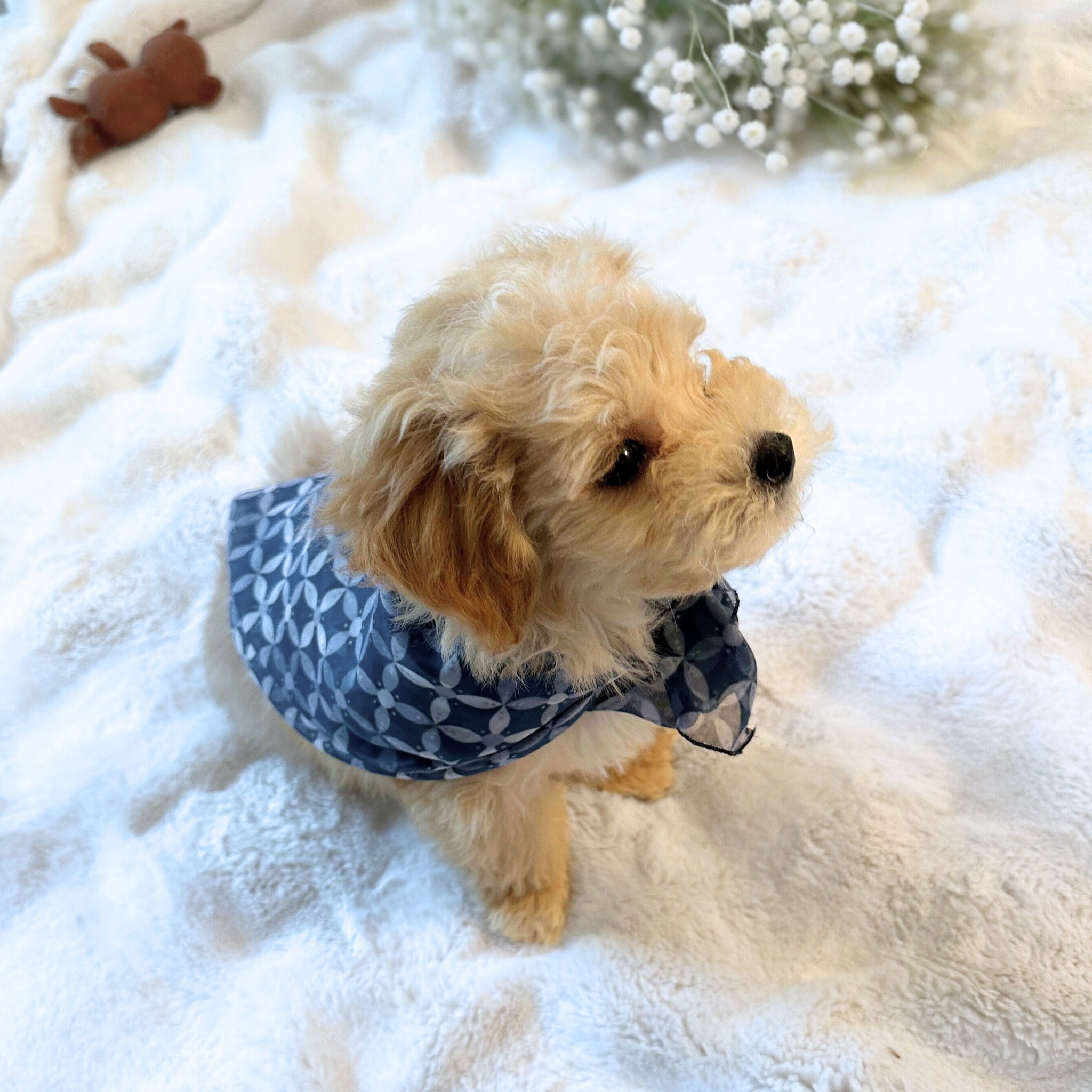 The Signature Duo - Azure Blue