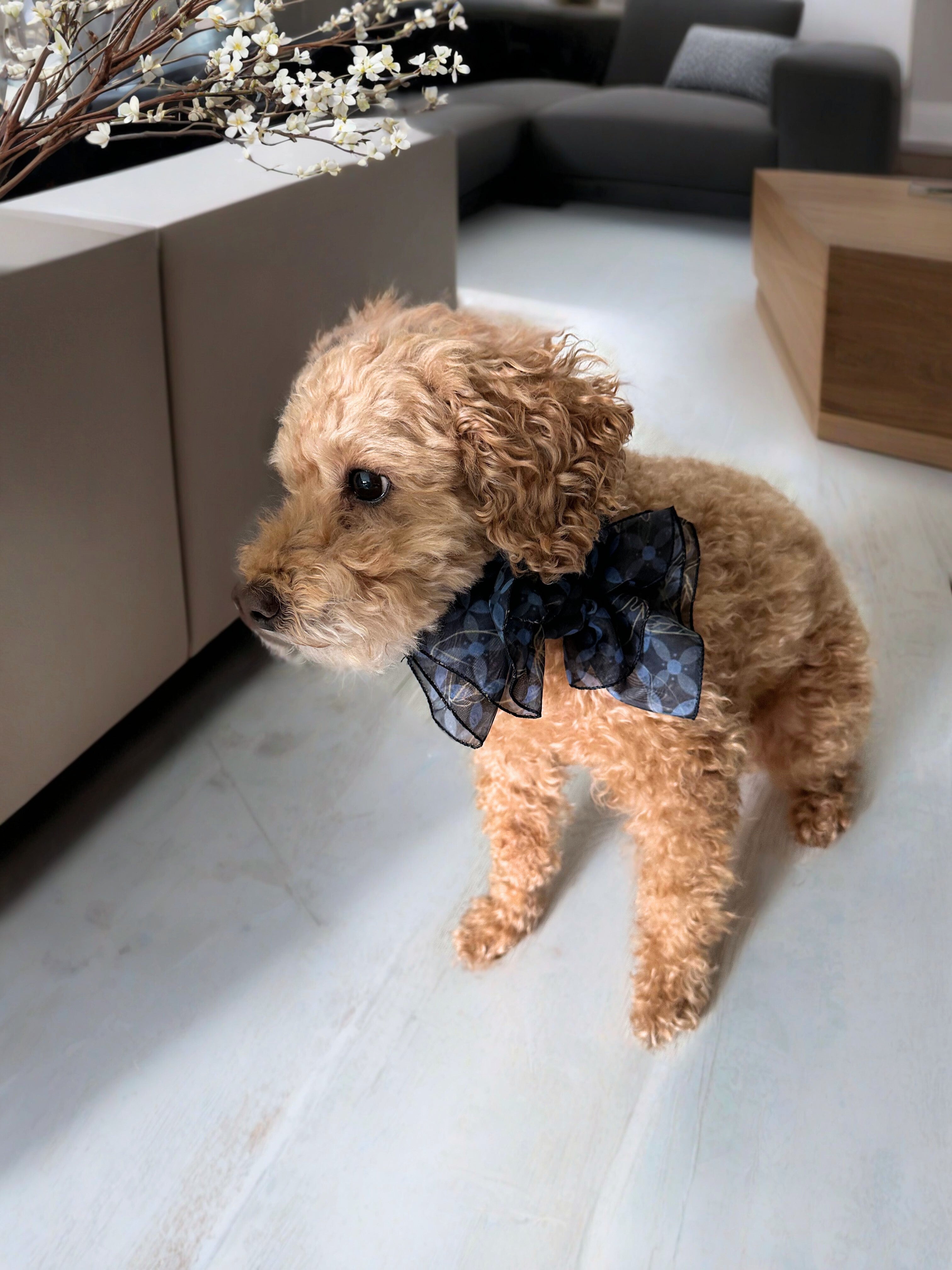 Couture & Vie Chiffon Scarf - Starlight Lattice